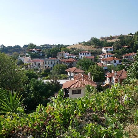 Villa Casa Di Grigoris Nikiti  Exterior foto