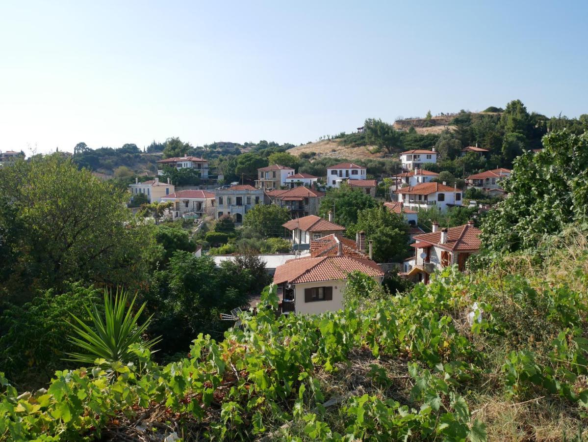 Villa Casa Di Grigoris Nikiti  Exterior foto