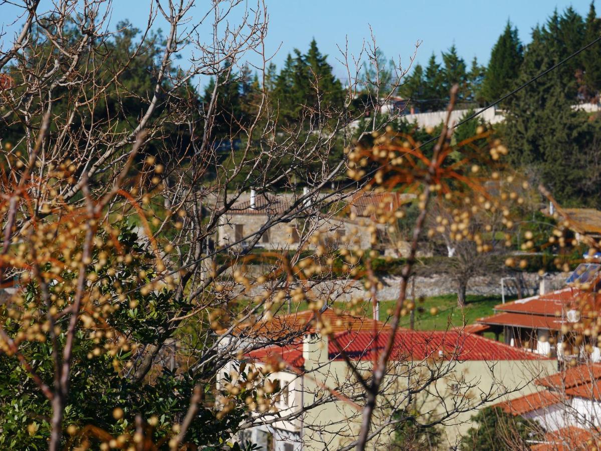 Villa Casa Di Grigoris Nikiti  Exterior foto